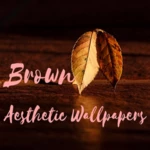 Logo of Brown Aesthetic wallpaper android Application 